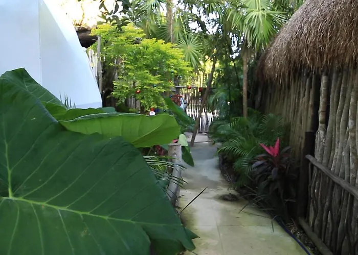 Glamping With Private Mini Pool * Tulum
